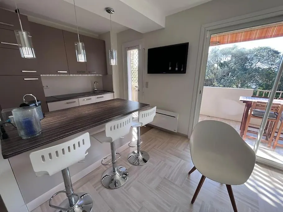 Appartement Avec Terrasse, Vue Jardin Et Piscine Antibes Apartment